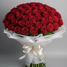 Букет 101 Красная роза Блэк Мэджик в Садовом Ставропольского края