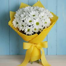 Букет цветов из:  Хризантемы в Садовом Ставропольского края