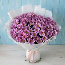 Букет цветов из:  Хризантемы в Садовом Ставропольского края