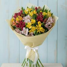 Букет цветов из:  Альстромерии в Садовом Ставропольского края