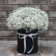 Цветочная композиция из Гипсофила в шляпной коробке в Садовом Ставропольского края