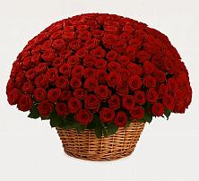 Премиум букет из: Розы в Садовом Ставропольского края